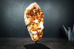 Gorgeous Golden Orange Citrine Crystal Cluster
