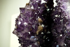 Fiore di geode di ametista di prima qualità