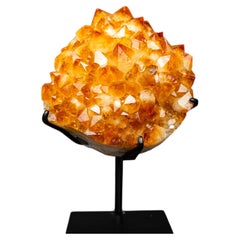 Large Golden Citrine Flower Crystal Cluster on Stand