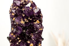 AAA-Grade Brazilian Amethyst Cluster with Rare Cristobalite Inclusions