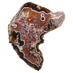 Rare Black and White Lace Agate Slice