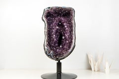 Rare Brazilian Amethyst Geode with Crown Formation