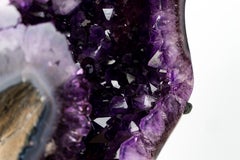 Spectacular AAA-Grade Brazilian Amethyst Geode on Stand