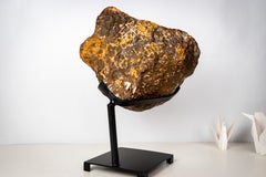 Rare Brazilian Citrine Geode