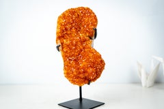 Small Citrine Crystal Cluster on Custom Stand