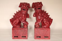 Pair of Large Maroon Foo Dogs