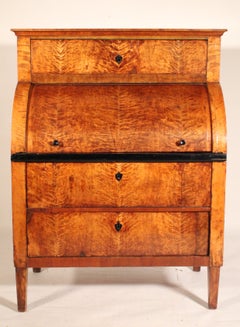 Bureau cylindrique en bouleau de style Biedermeier