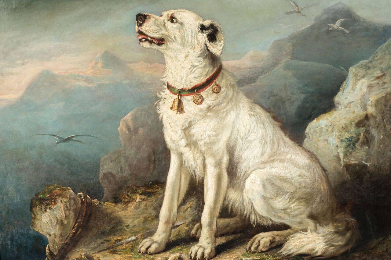 Enormous, hand-painted, Italian, oil on canvas painting of a seated, bell-collared hunting dog perched on a mountain cliff.