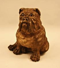 Robust Spectacular and Amusing Late 19th Century Terra Cotta Bulldog