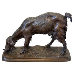 French Bronze Sculpture of a Grazing Goat by Ferdinand Pautrot