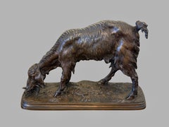 French Bronze Sculpture of a Grazing Goat by Ferdinand Pautrot