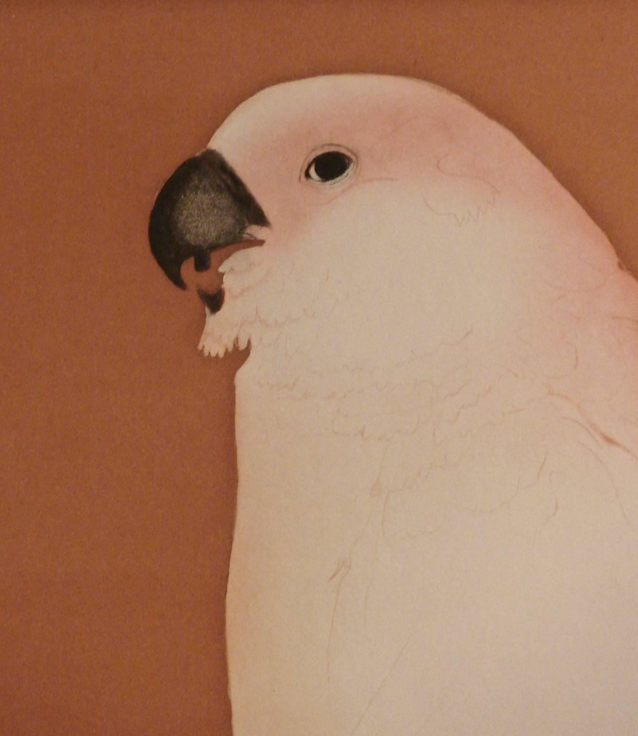 A lovely drypoint and aquatint by well-known American artist Beth van Hoesen (1926-2010) depicting a handsome white parrot on a rose background, pencil signed, dated and titled by the artist from an edition of 100. Now framed and glazed. Gallery