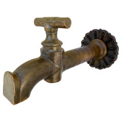 A Beautiful Antique Brass Faucet with Decorative Backplate