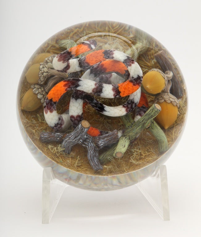 A beautiful Gordon Smith paperweight with a highly coiled cobra coral snake on an earth ground with straw, branches and acorns, signed GS 2015.