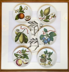 Set of 6 Fruit Plates, Collection by Villeroy & Boch Septfontaines, Luxembourg