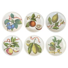 Set of 6 Fruit Plates, Collection by Villeroy & Boch Septfontaines, Luxembourg