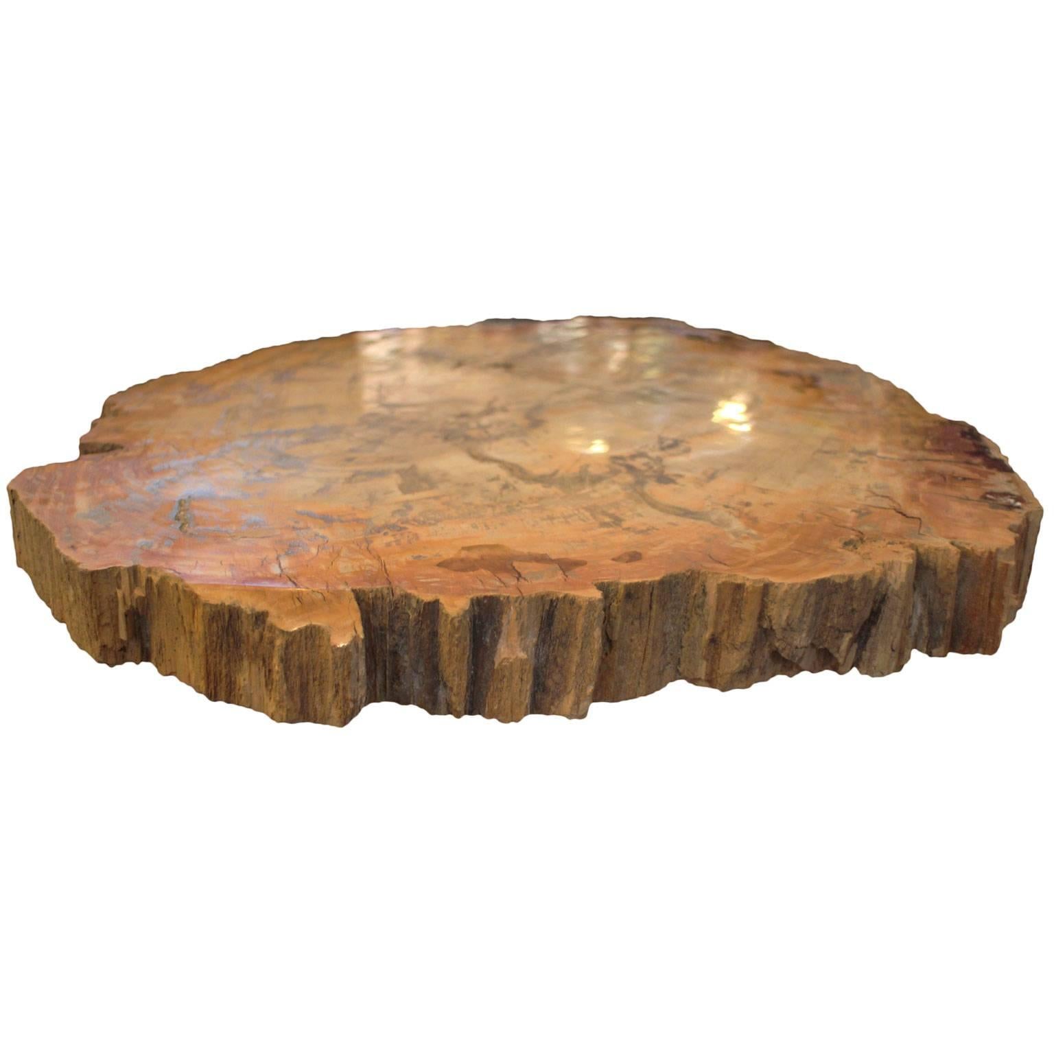 20th Century Fossilized Wood and Brass Cone Table