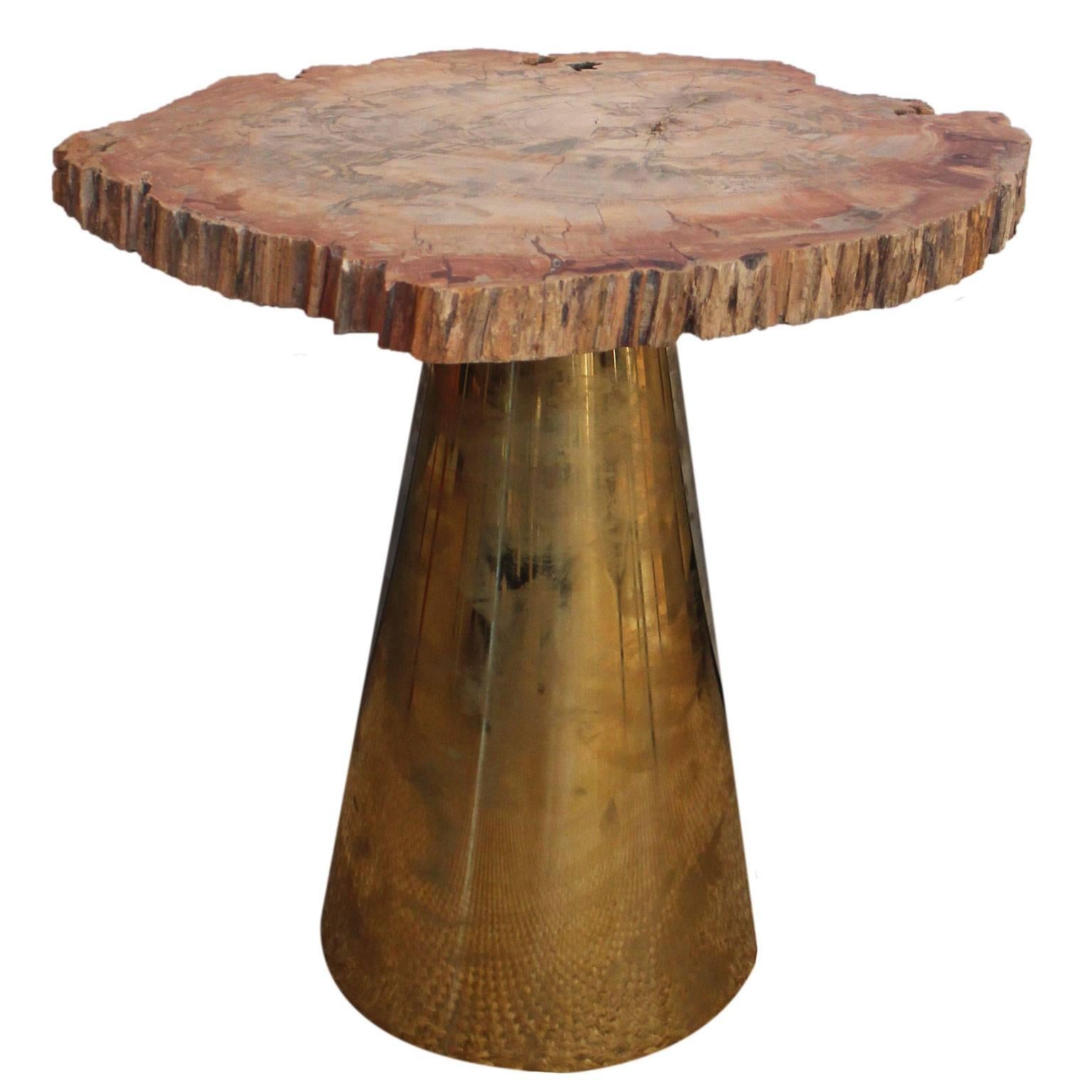 Fossilized Wood and Brass Cone Table