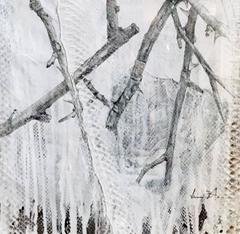 "Thorn Study II" By Jake Blake