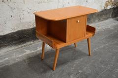 Swedish Mid-Century Golden Elm Side Table with Door