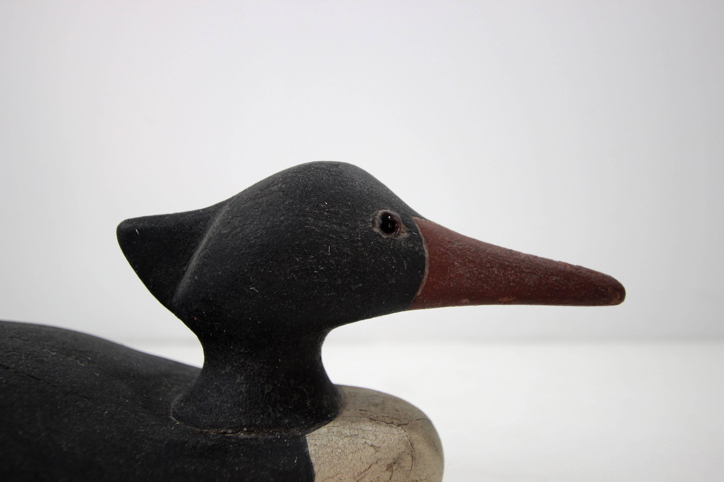 Clean-lined duck decoy, solid wood in original black why and red paint with glass eyes and weighted bottom to be used as a working decoy. American, second of the quarter 20th century.