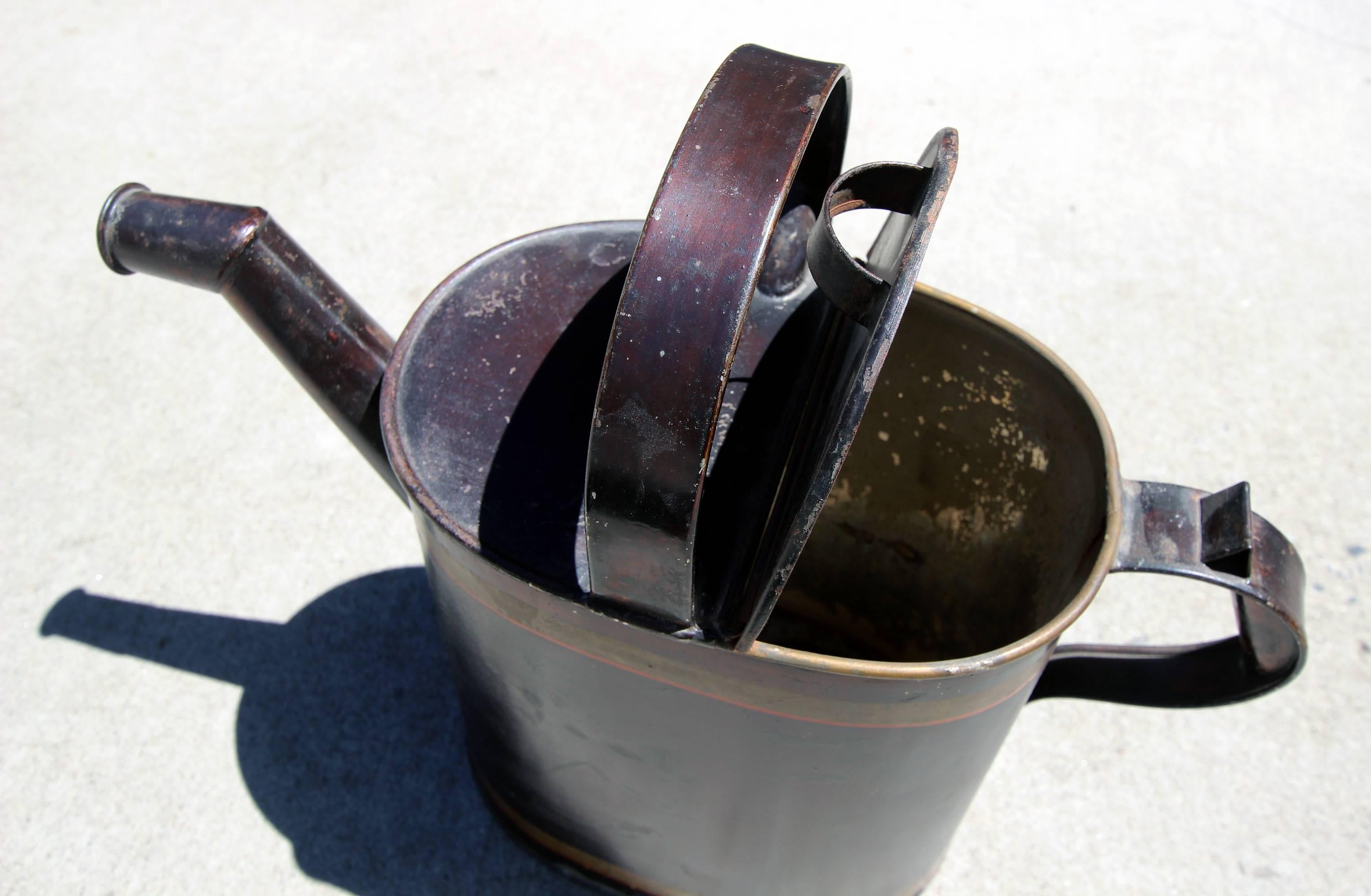 American Painted Watering Can For Sale