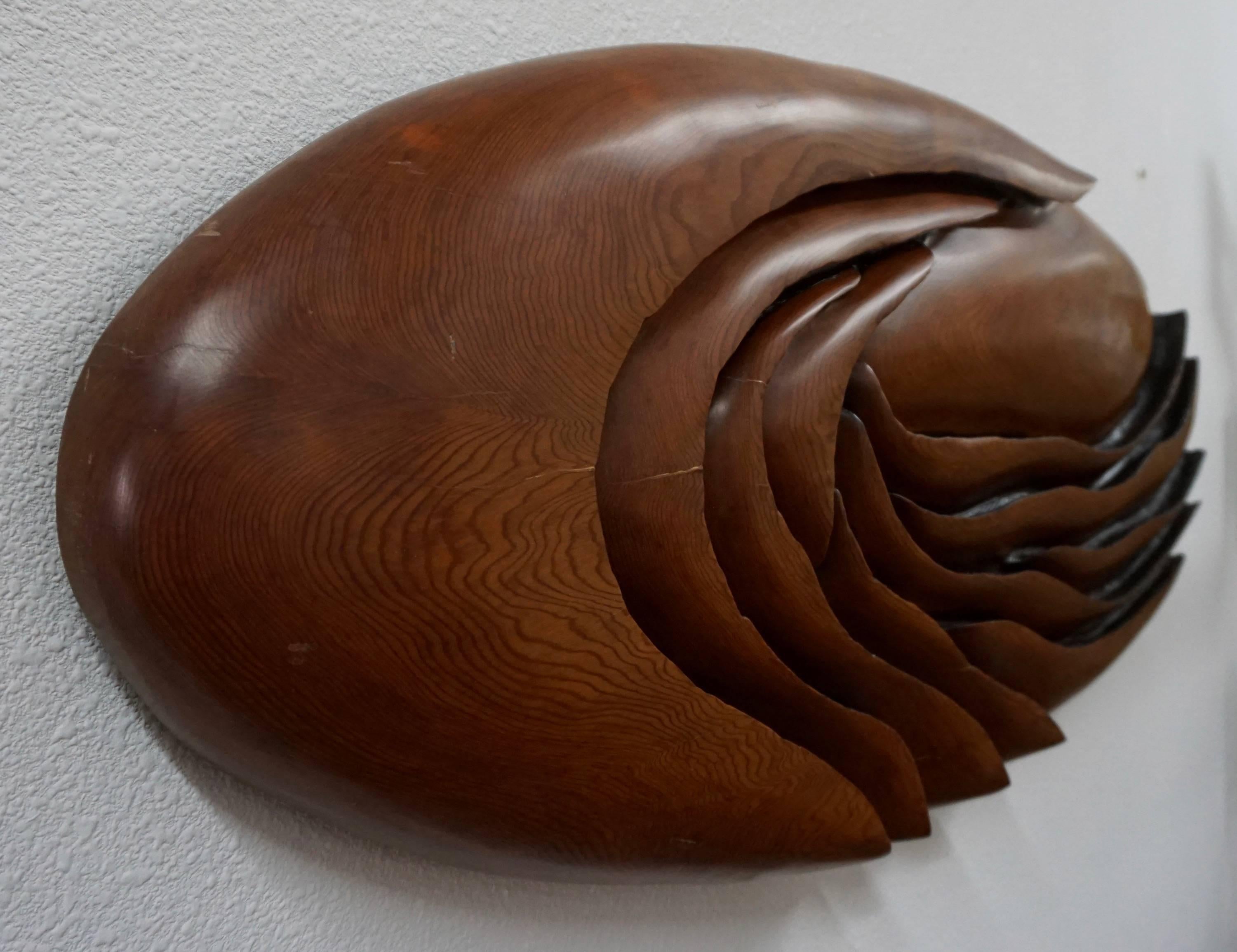 Mid-20th Century Oval Shaped Redwood Sculpture