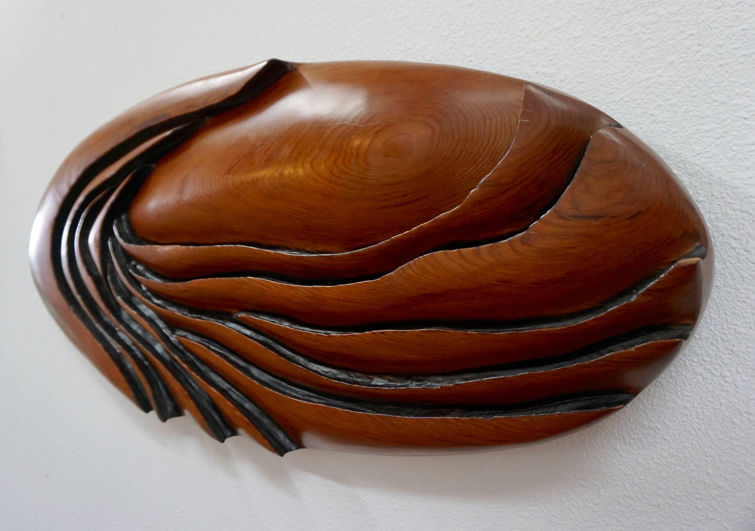 Oval Shaped Redwood Sculpture 1