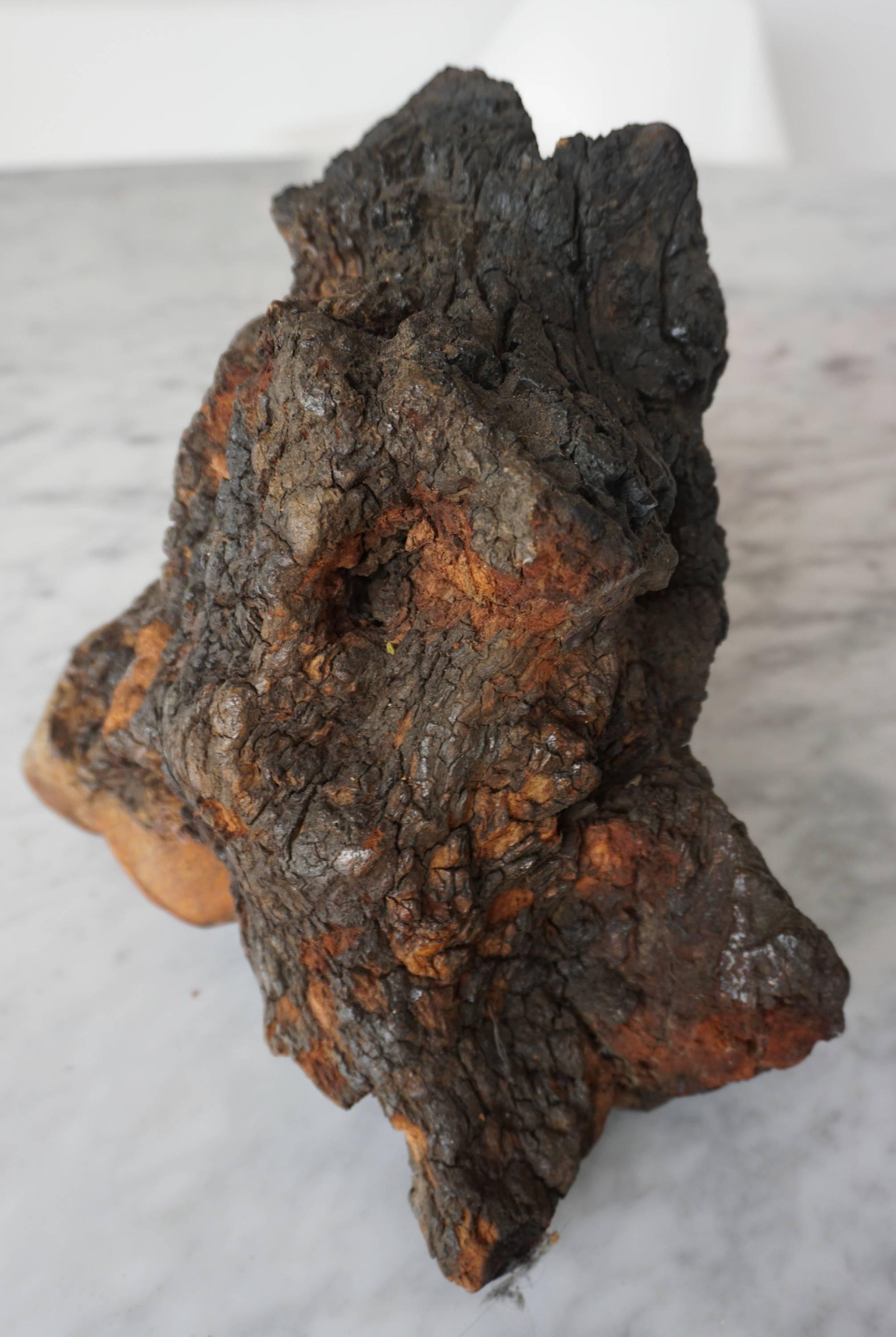 Mid-20th Century Eerie Charred Burlwood Sculpture