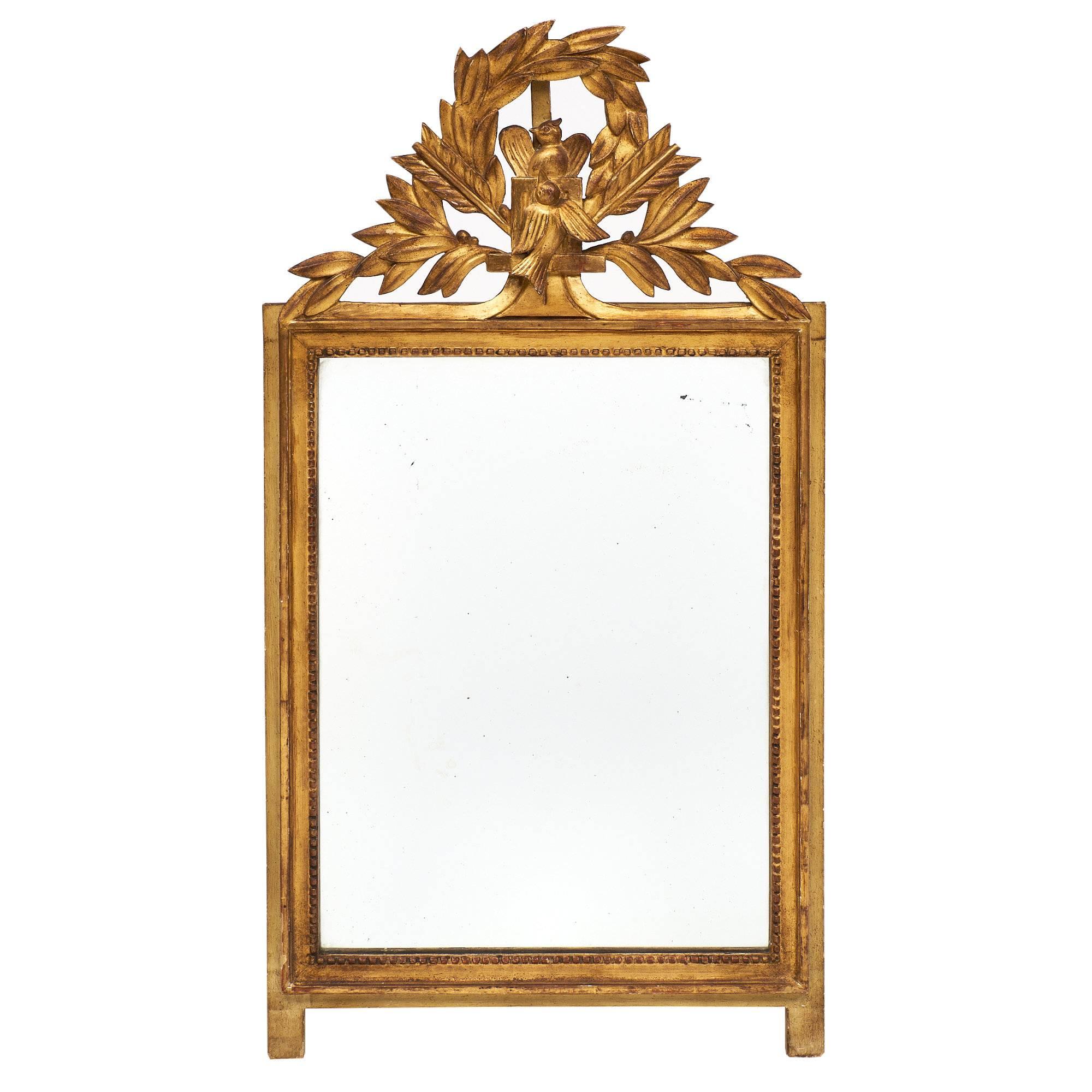 Louis XVI Style French Antique Mirror