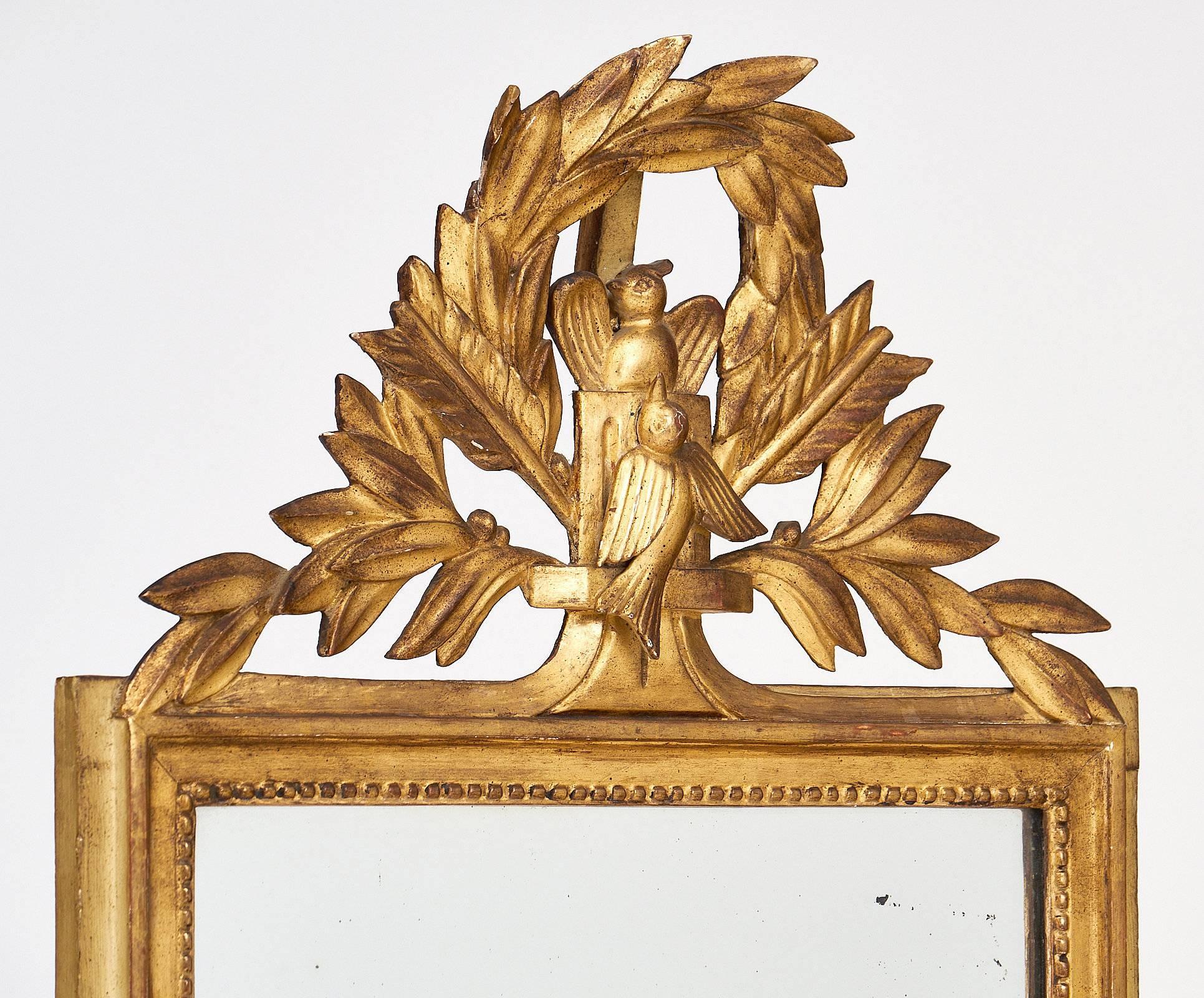 Louis XVI Style French Antique Mirror 2