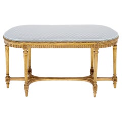 French Louis XVI Style Gilt Wood Six-Leg Bench, Circa 1900