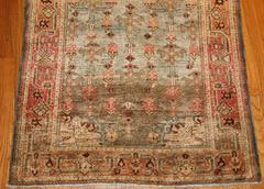 Blue Malayer Runner