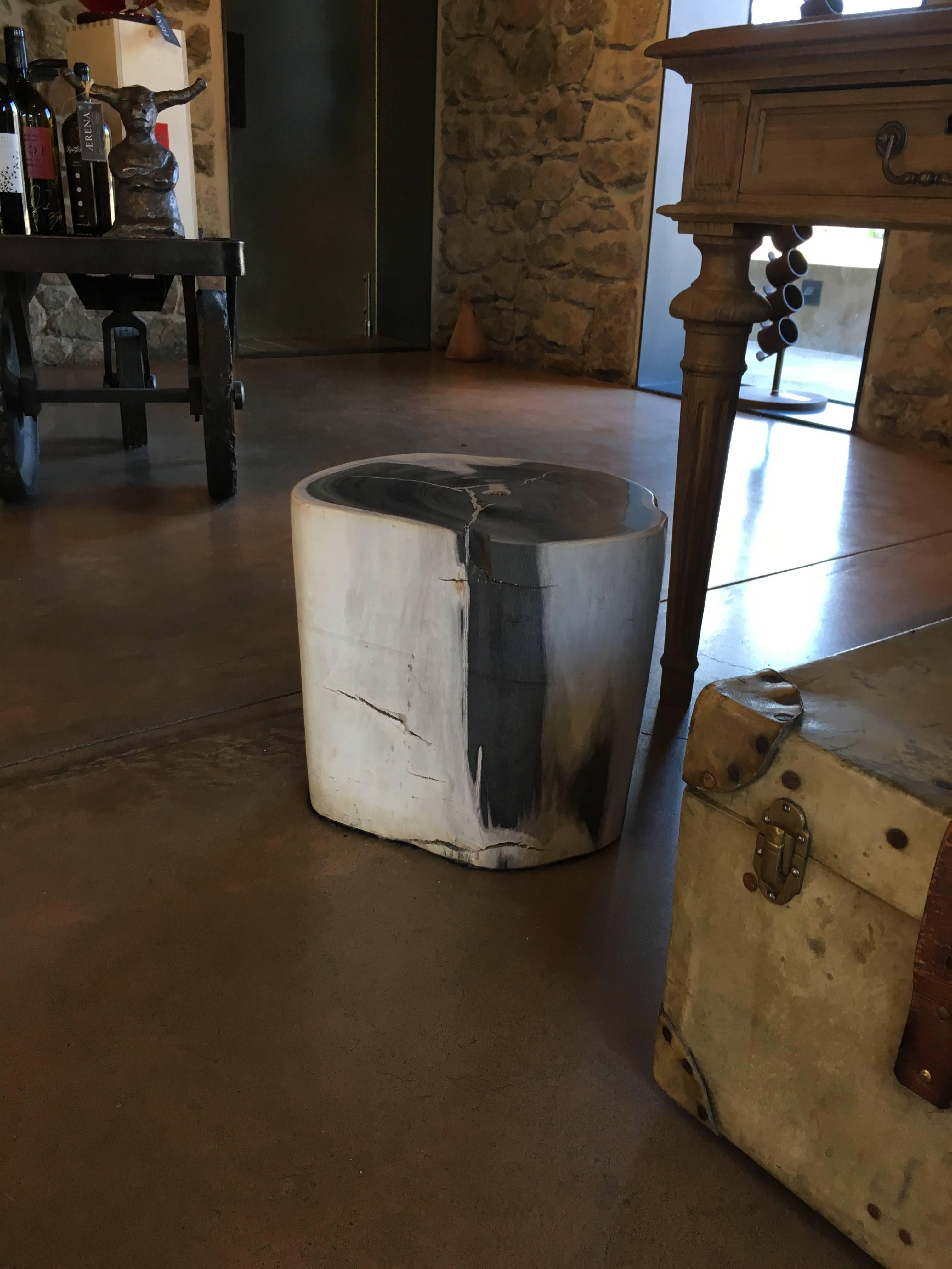 White petrified wood stool or small side table with grey.