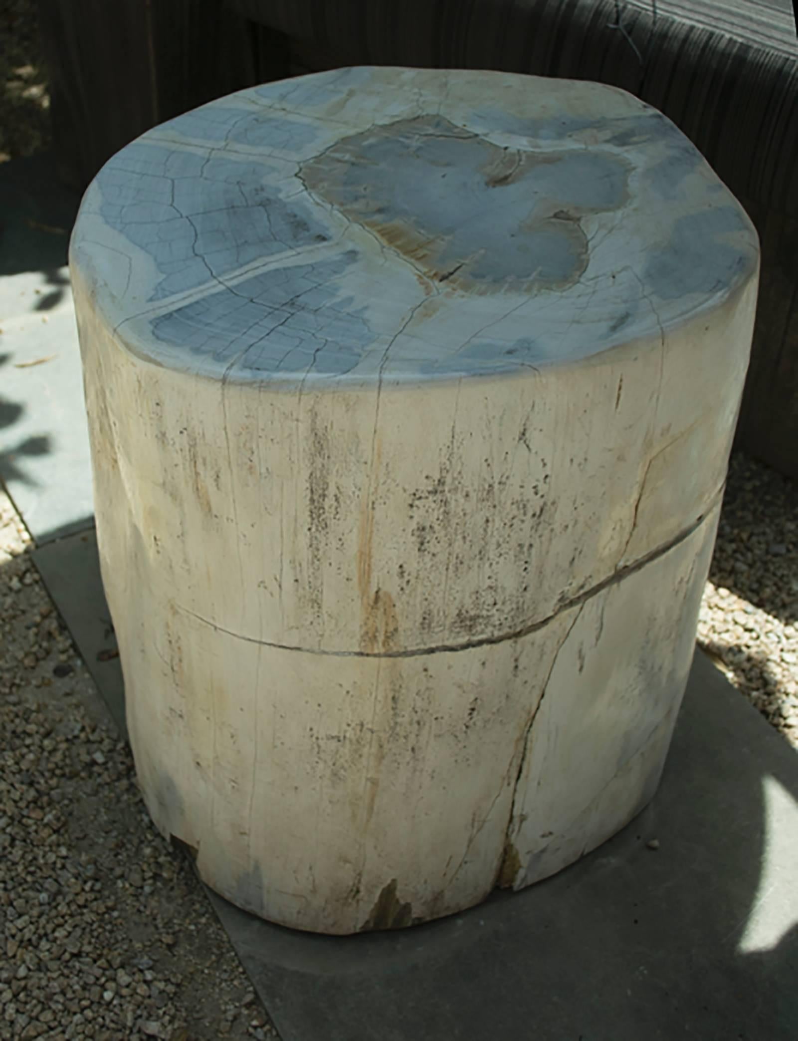 Petrified wood side table or stool.