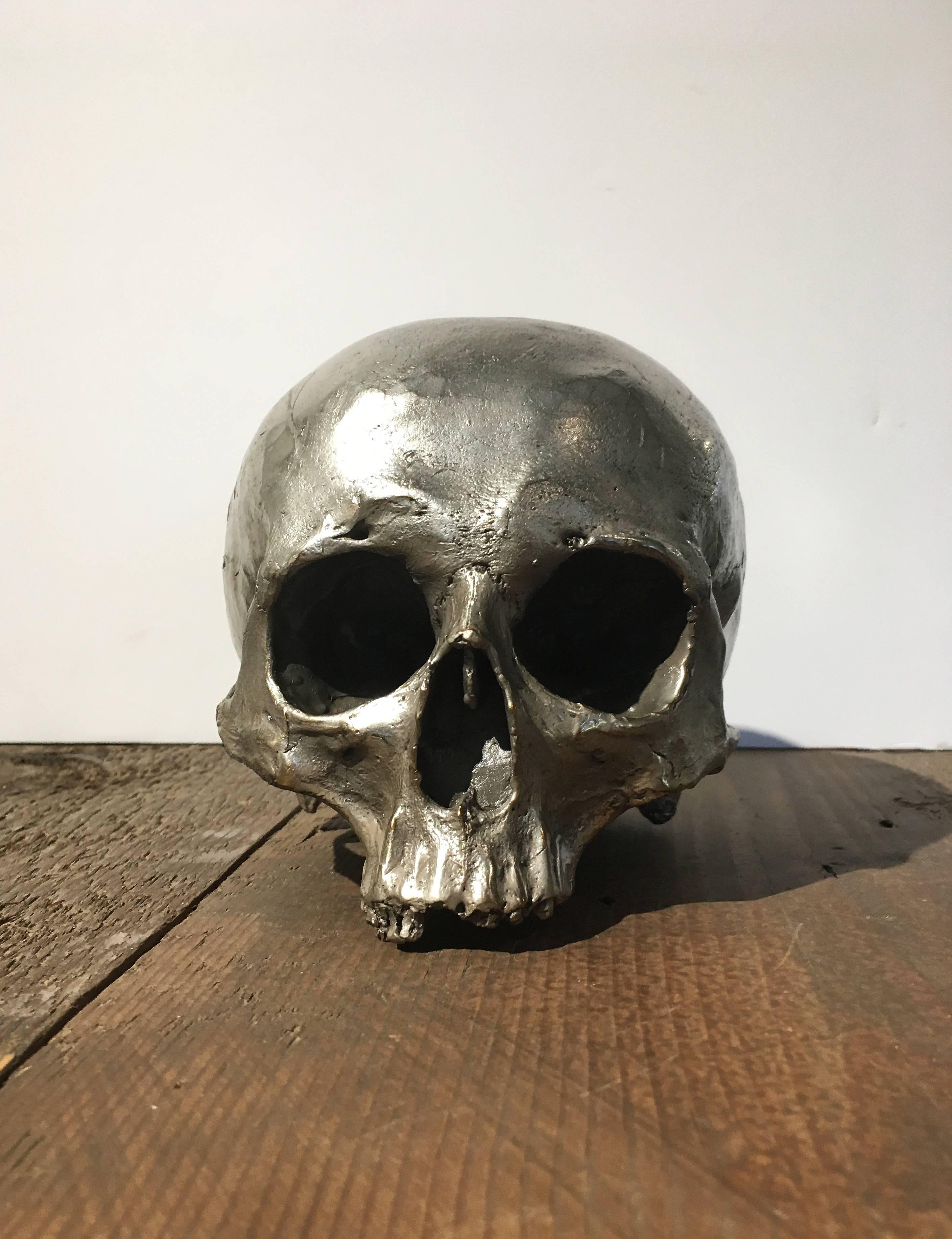 Cast bronze skull with silver patina. 

Heavy enough to be used as a bookend, or in library or office.

Pictured with bronze skull with darker bronze patina.