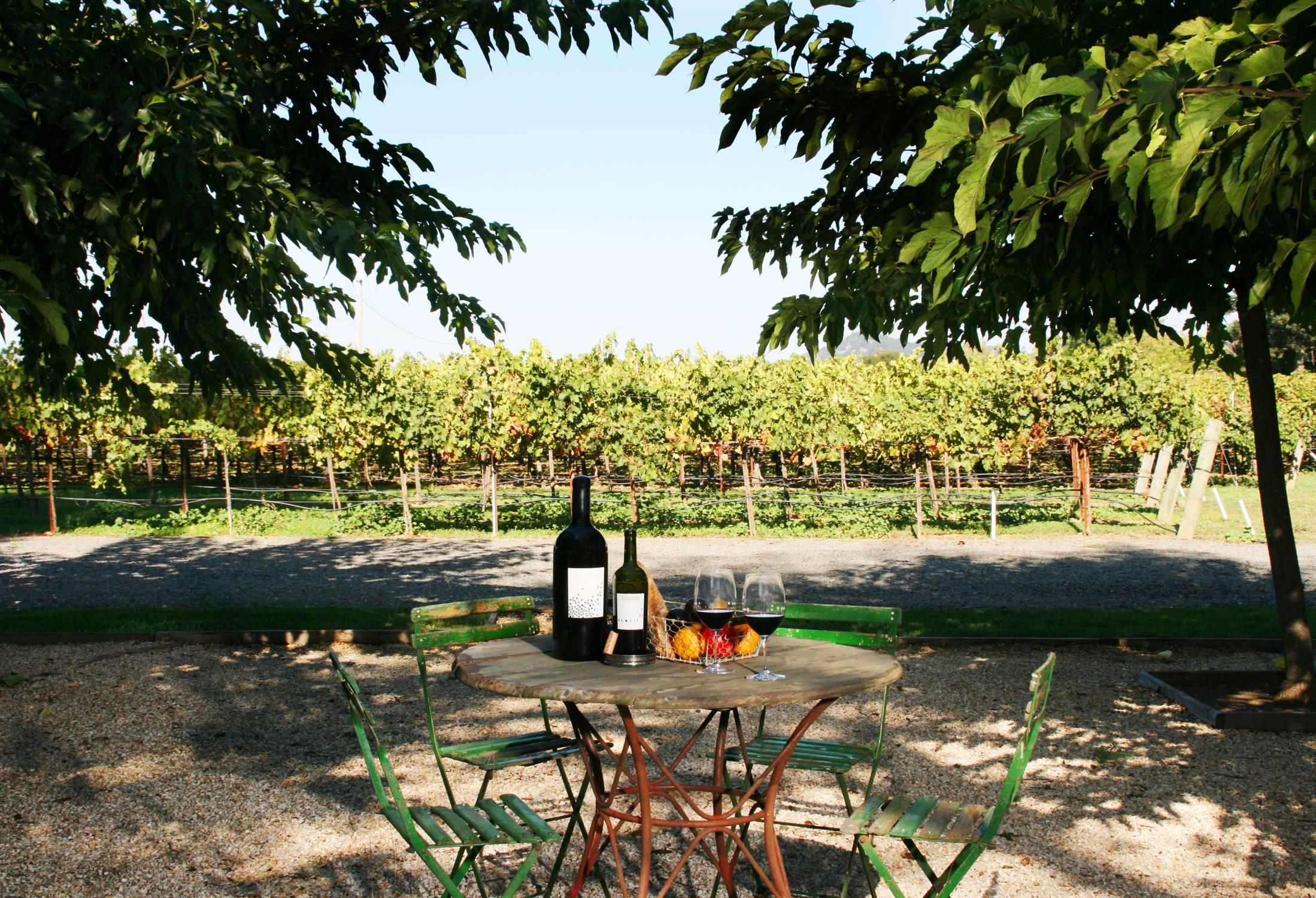 Chaise de bistro vintage verte de France. La chaise bistrot a une structure en métal avec des lattes en bois peint.

Prix pour un ensemble de 10 ; veuillez vous renseigner pour acquérir moins de 10 ou jusqu'à 14. 
