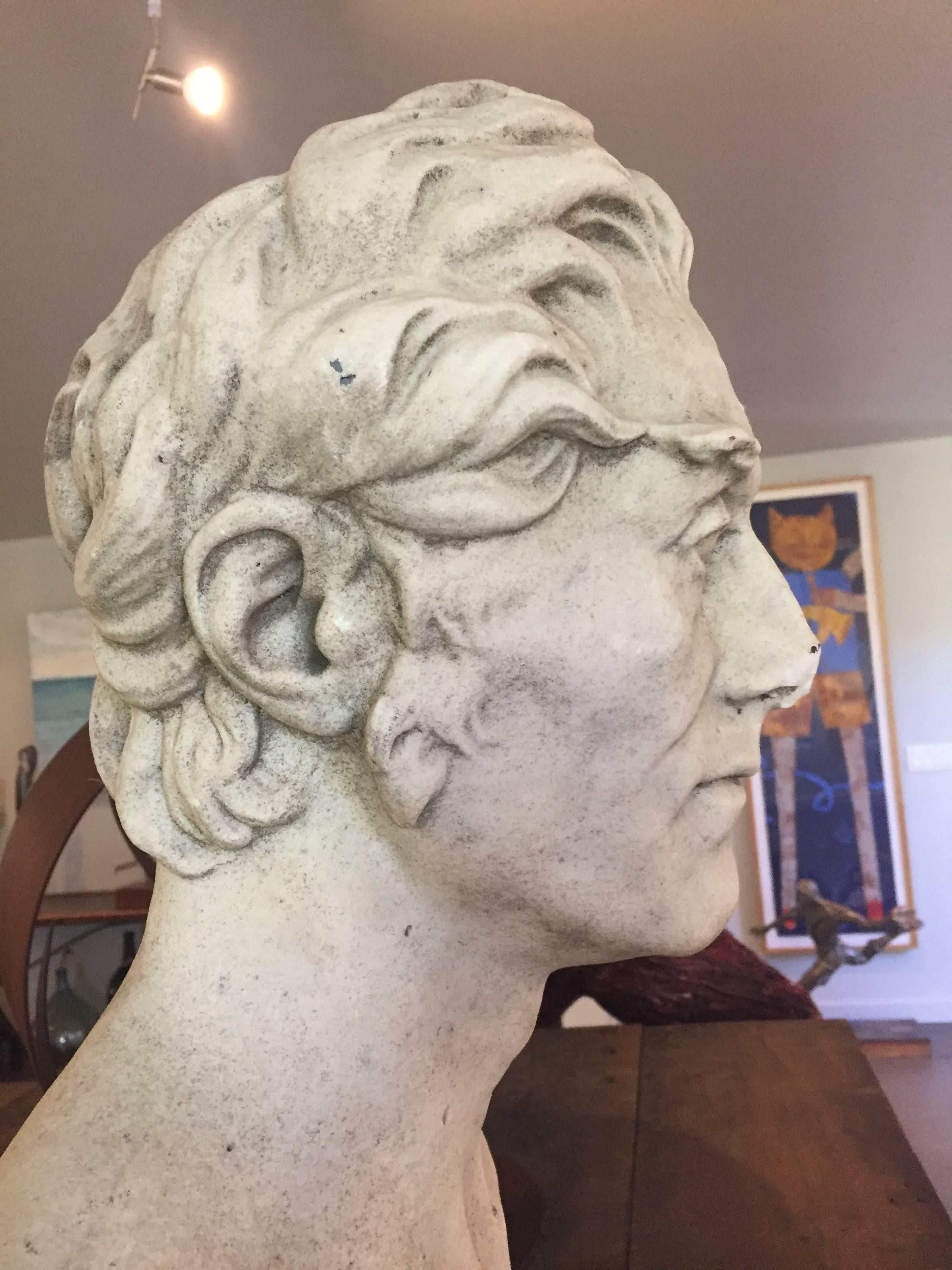 Marble Bust of Philosopher, c.19th Century, France 2