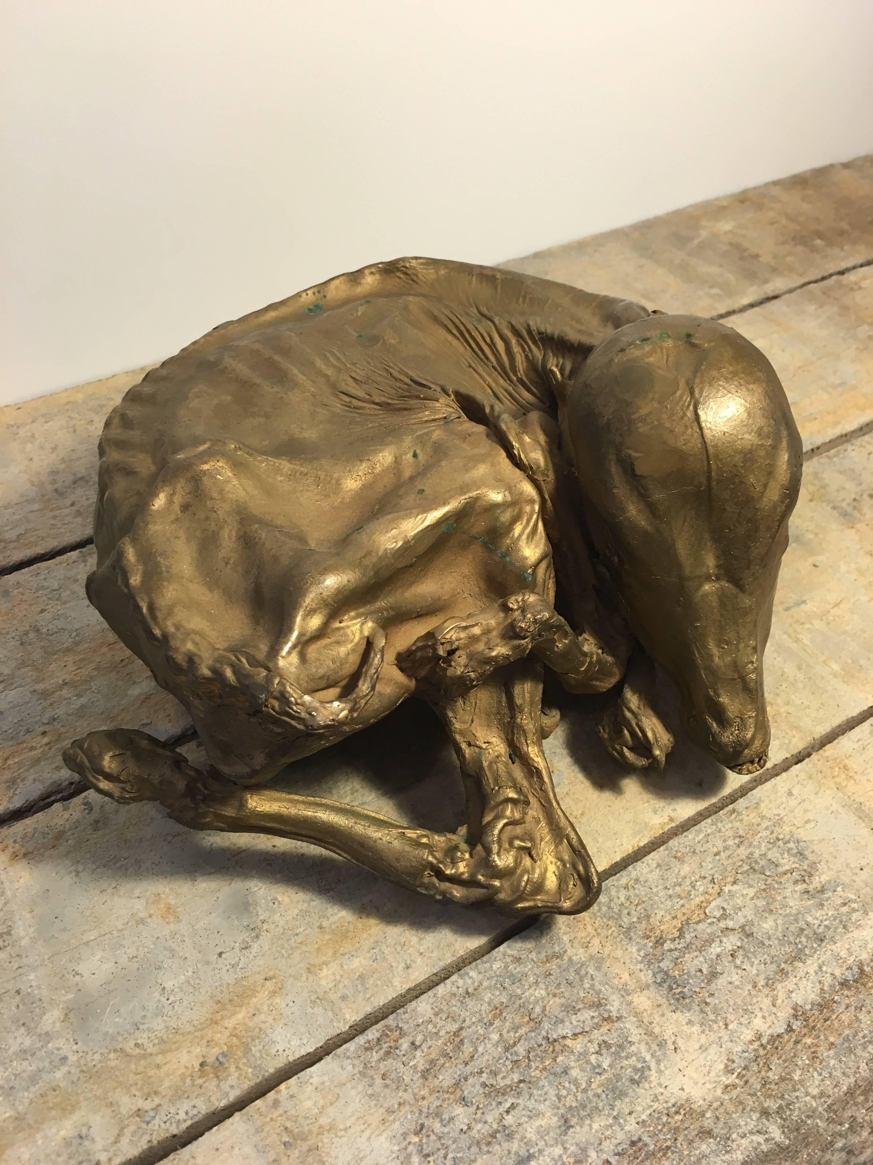 Vintage bronze cast of a calf fetus from Holland. Bronze cast is from the 1980's and has impeccable detail. Vintage condition with minor wear consistent to age and use.

