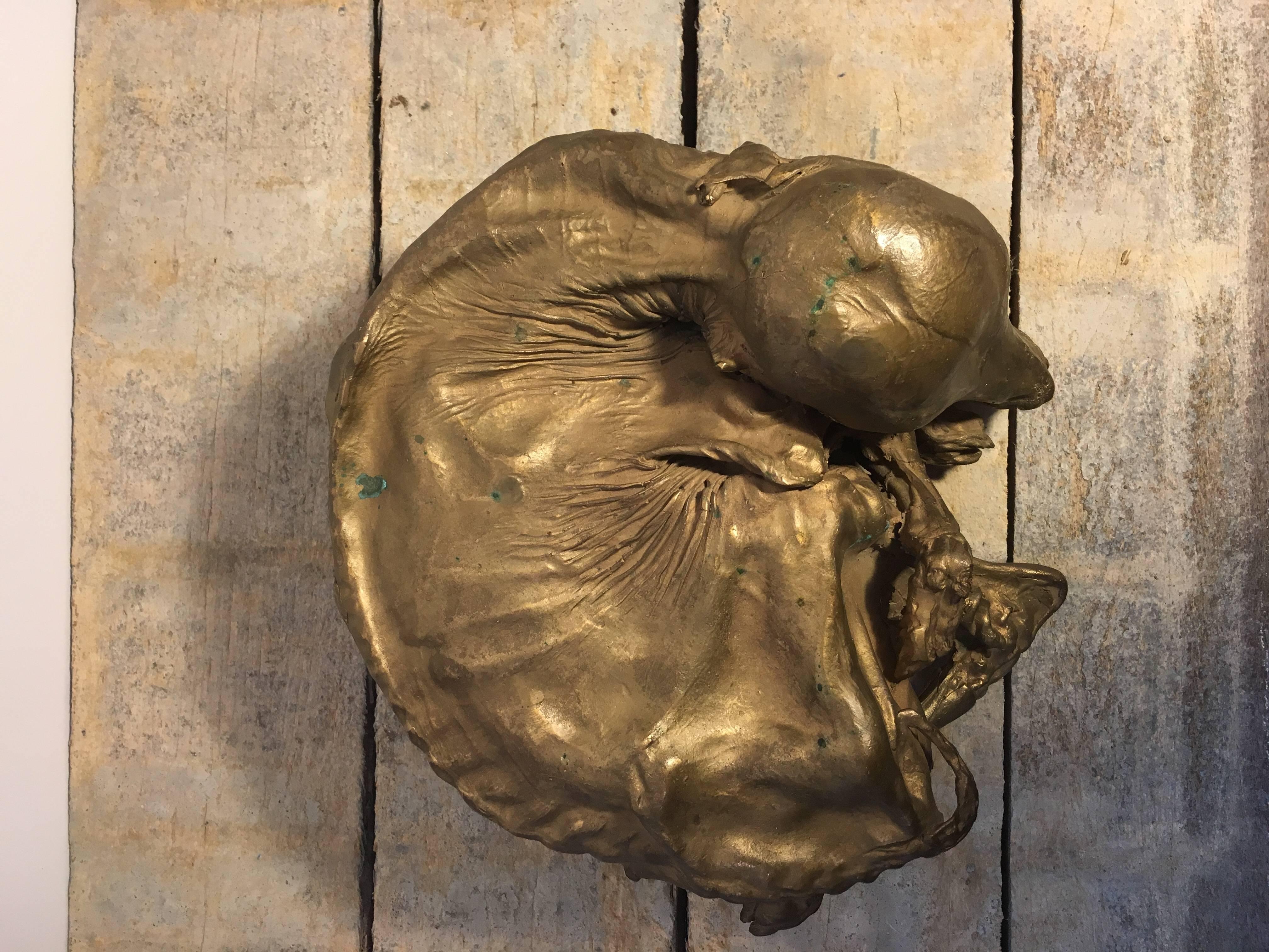 Dutch Vintage Bronze Cast of Calf Fetus For Sale