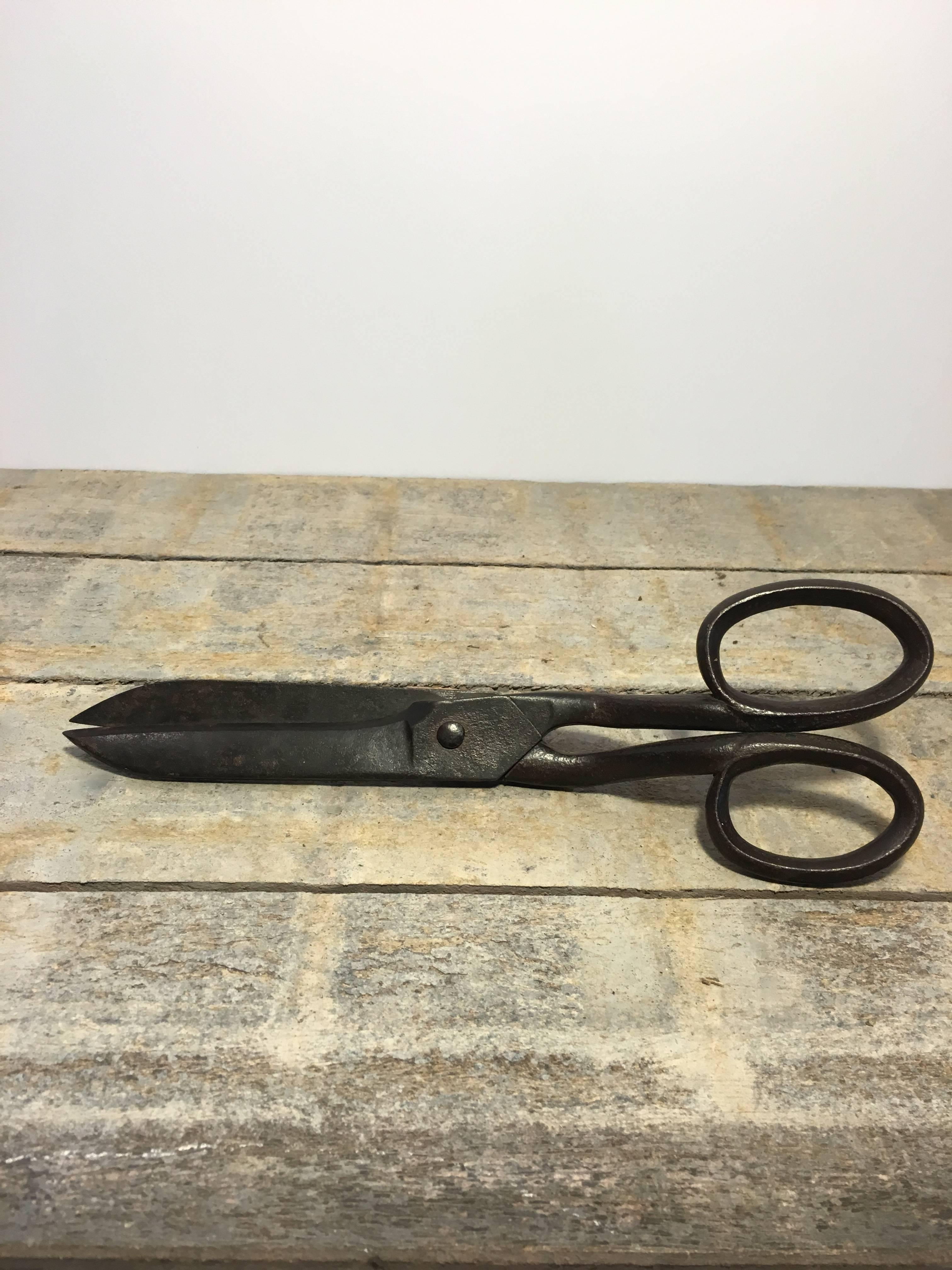Large vintage industrial scissors with a gently curved handle. In working condition and great for ornamental or office use.