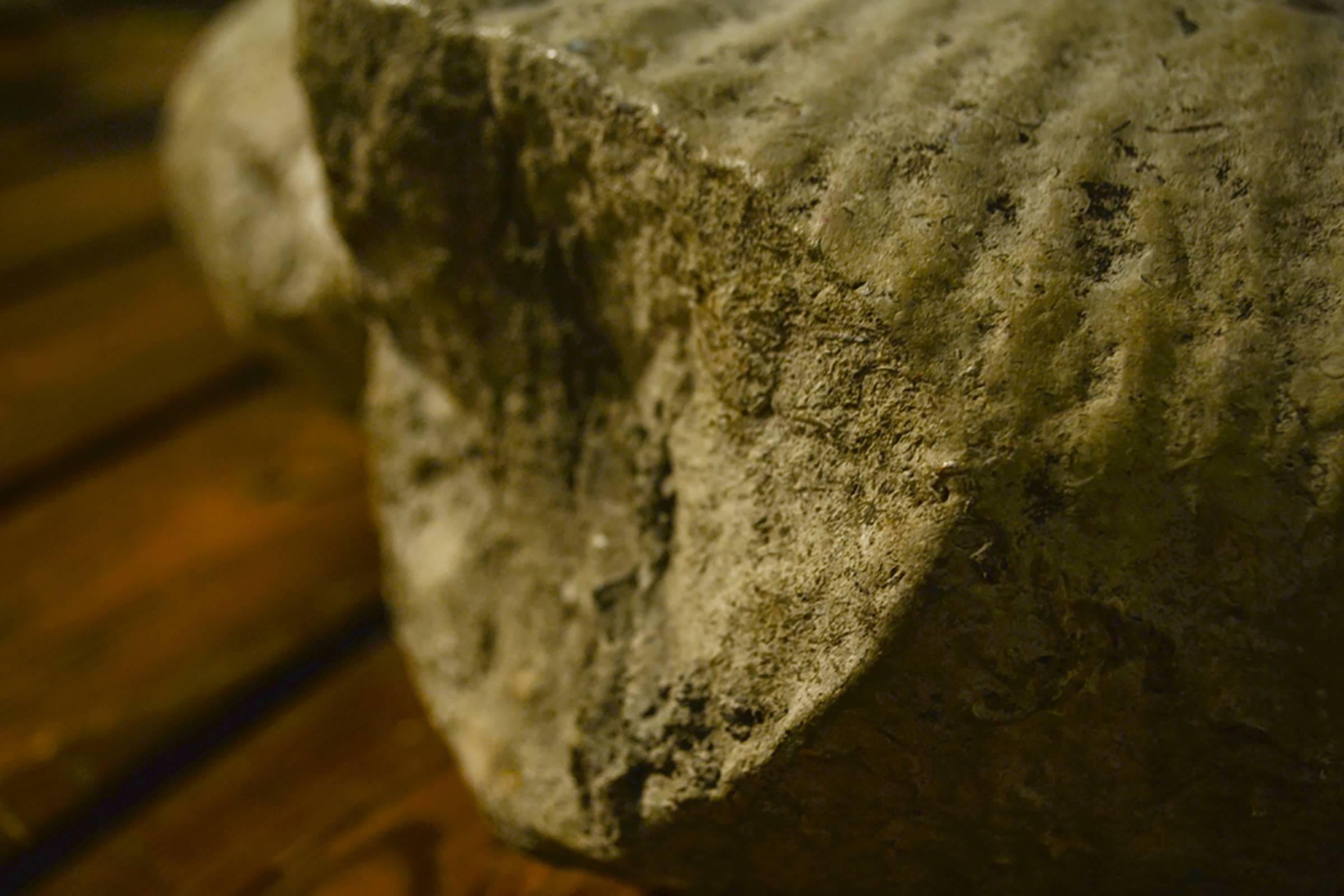 Fino al XVIII secolo Fossile di ammonite di grandi dimensioni in vendita