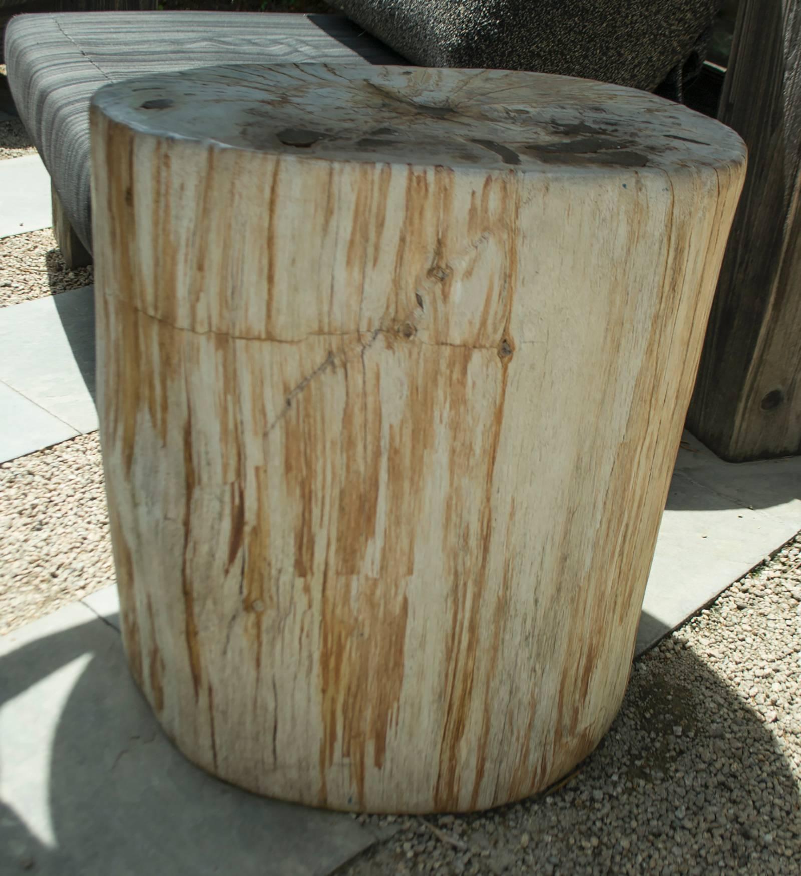 Large Red Petrified Wood Side Table In Good Condition In Napa, CA