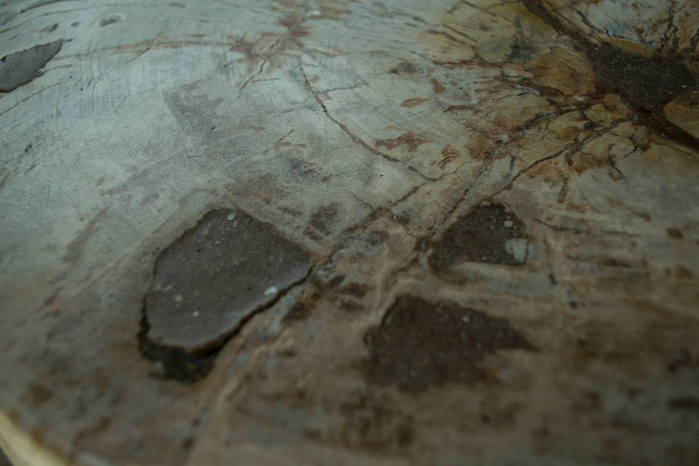 Large Red Petrified Wood Side Table 3