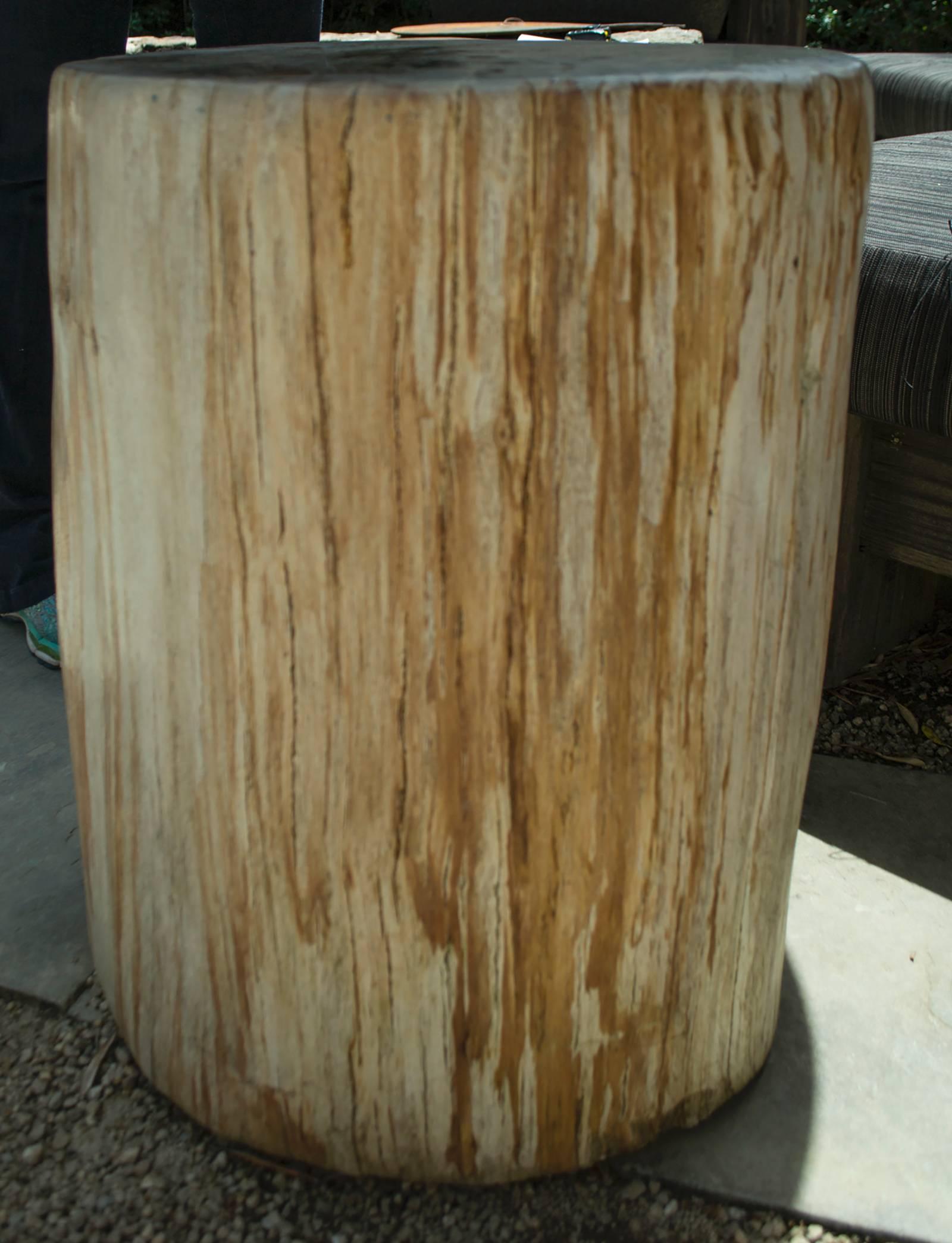 Contemporary Large Red Petrified Wood Side Table