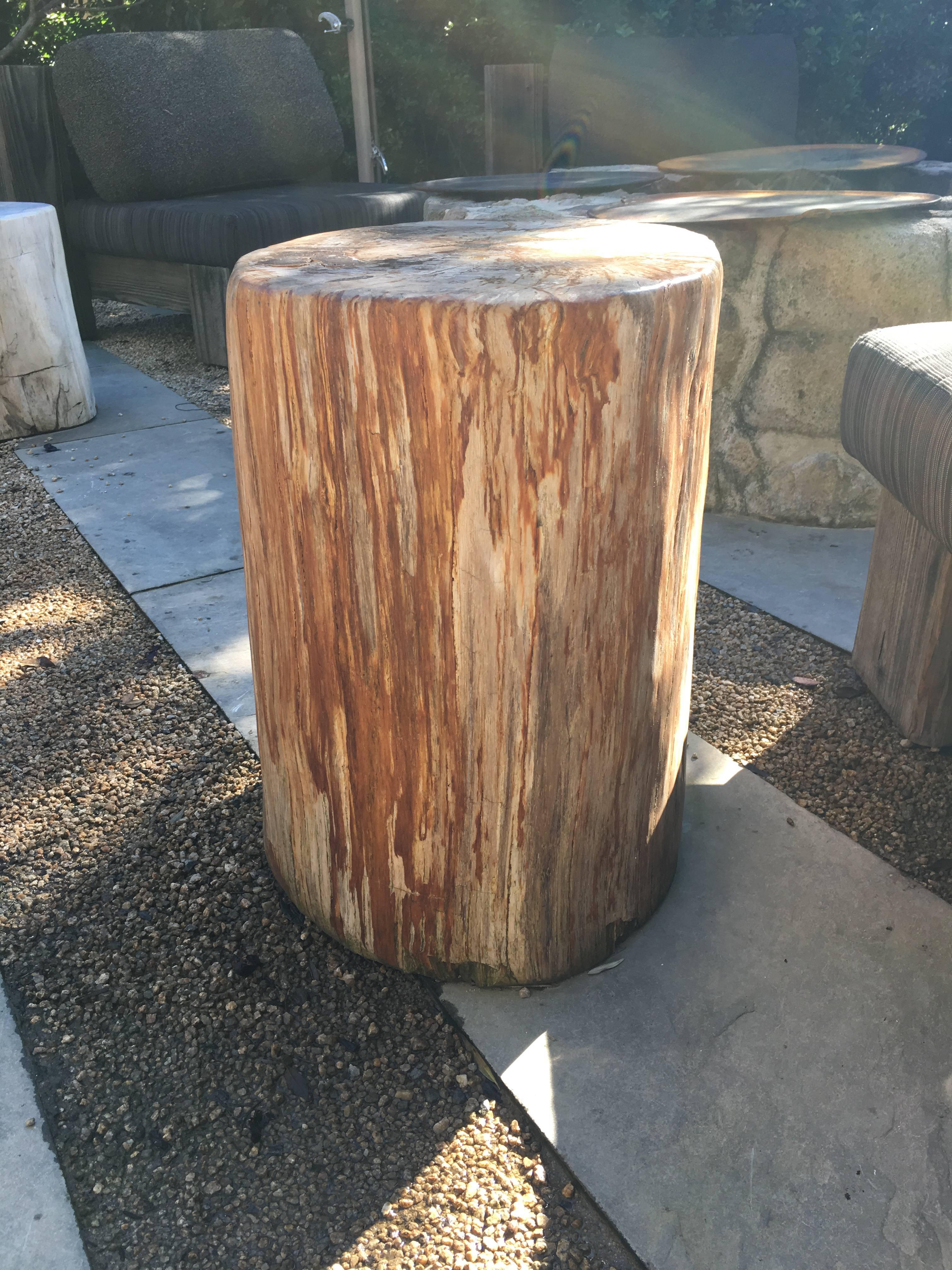 Large petrified wood side table or stool with red veining.