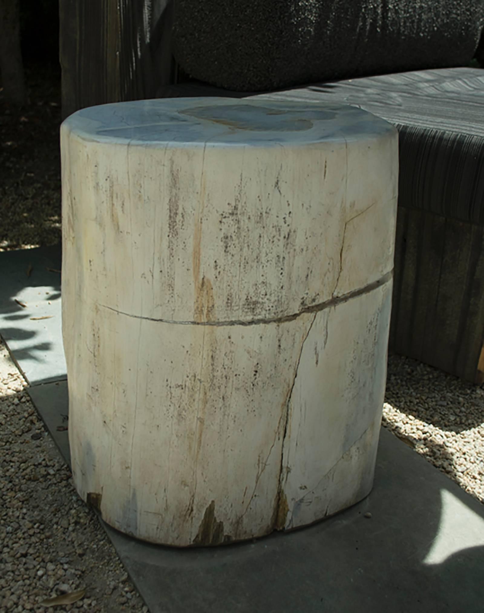 Contemporary Large White Petrified Wood Side Table