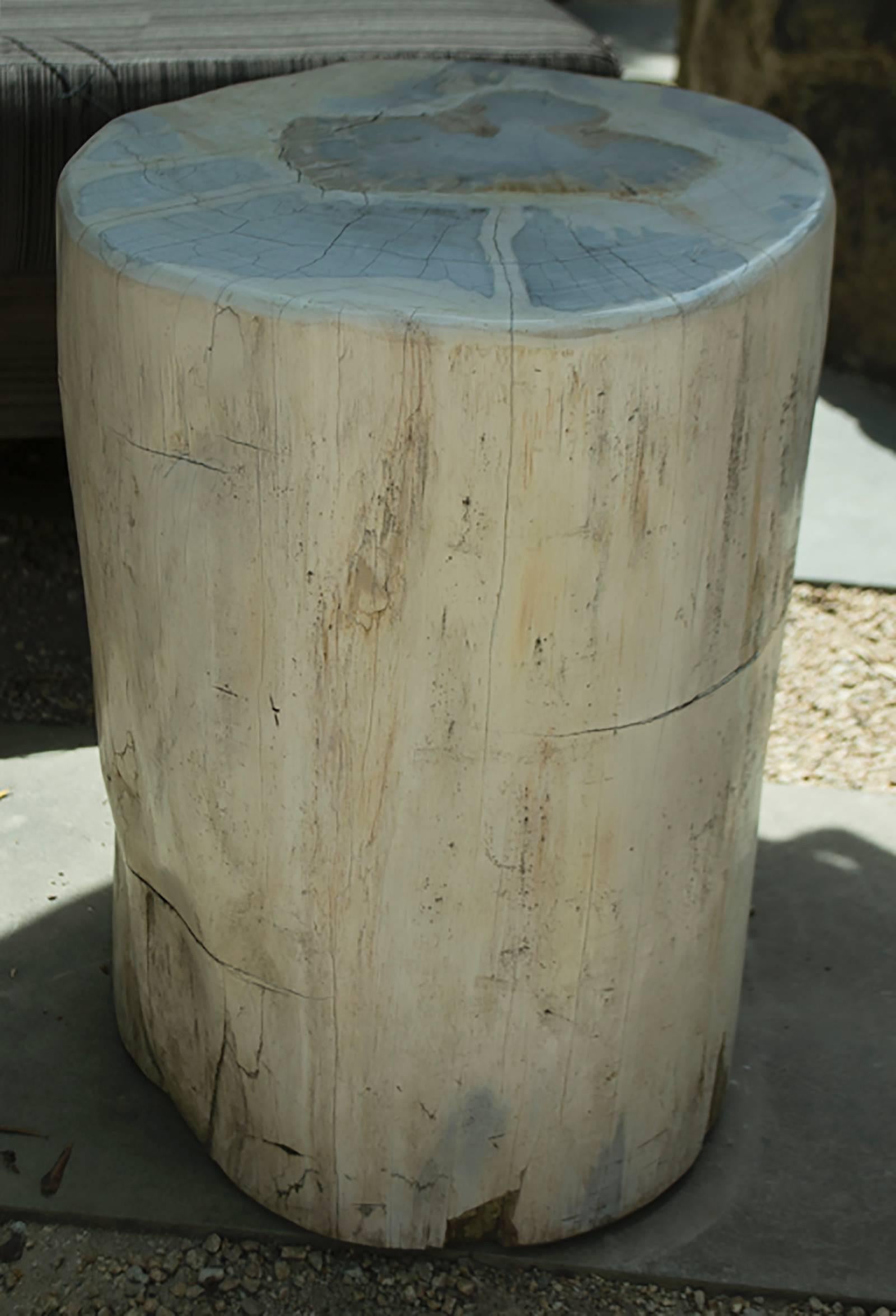 Large White Petrified Wood Side Table 2