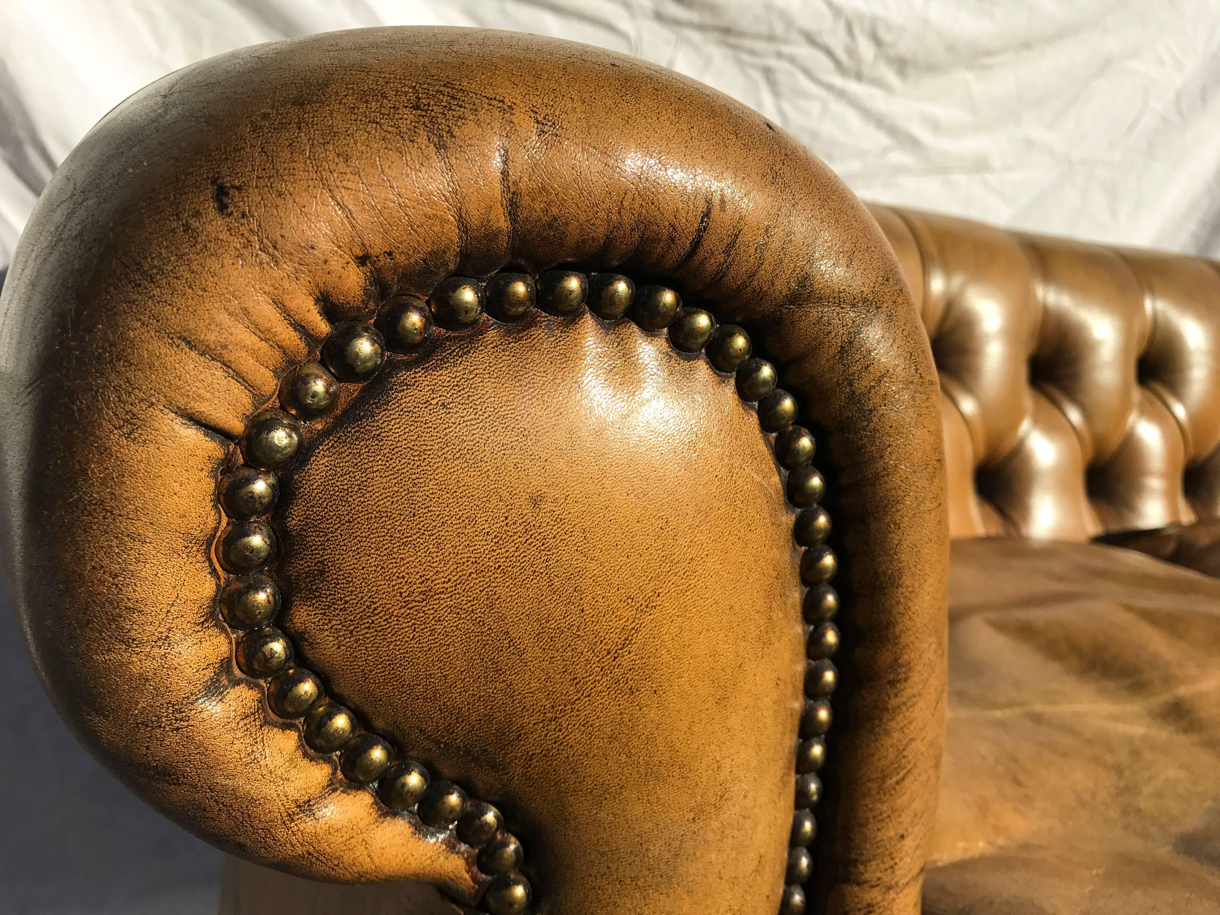 Curved Leather Chesterfield, circa Early 20th Century In Good Condition For Sale In Napa, CA