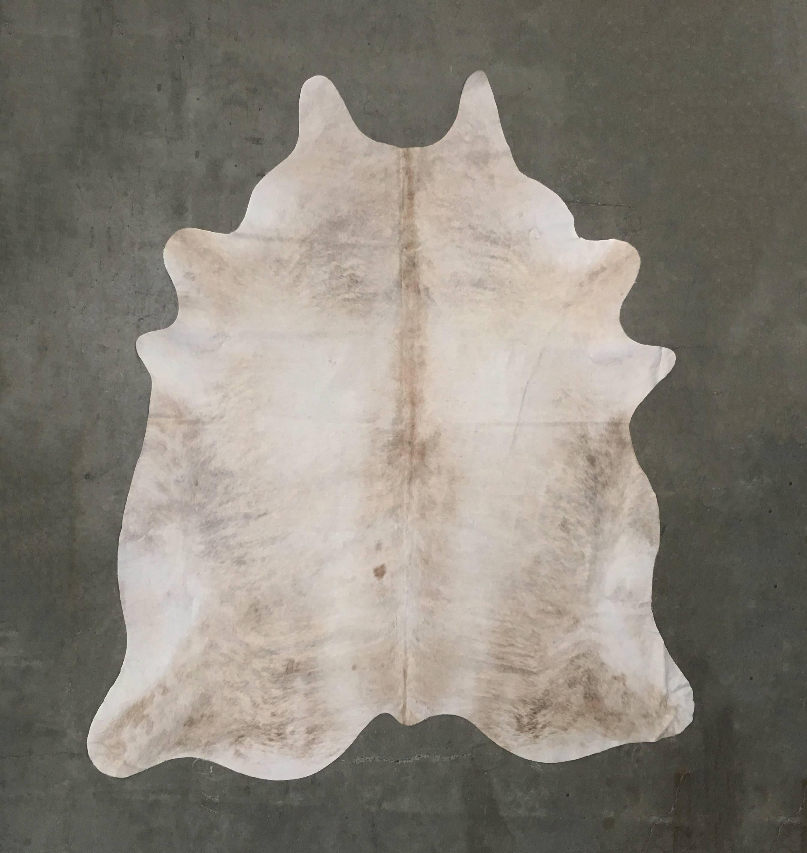 Natural silver cow hide rug. Pale grey with areas of pale brown and fawn.

Photograph depicts typical features of silver hides, and ordered hide rug will vary based on availability. Please inquire for images of individual available hides prior to